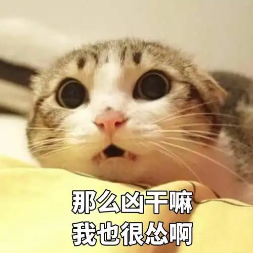 我的收藏夹