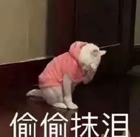 淘今年最强寒潮来袭雨雪大风降温