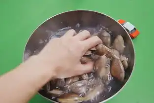 新手小厨房,美味花甲看到流口水