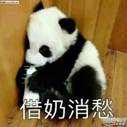 借奶消愁熊猫滚滚卖萌表情包图片我不听我不听国宝熊猫表情包下载乐游网游戏下载