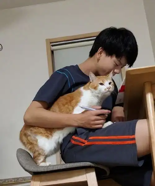 宠主正在做作业,猫咪撒娇要和宠主玩耍,被拒后委屈极了