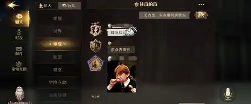 哈利波特手游有什么魔力全员巫师时代,更重要的是表情包对决