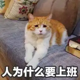 超搞笑全新萌宠带字头像无敌可爱天冷有什么事到我被窝里说