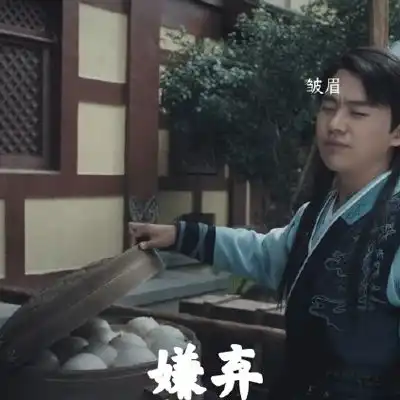 赘婿搞笑表情包,太好玩了