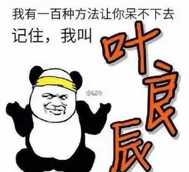 叶良辰是谁为何爆红叶良辰个人资料表情包完败网红尔康
