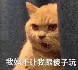 辟邪表情包搞笑屏保