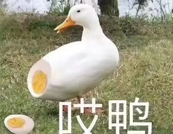 闪电侠被迫与逆闪合作,沃利韦斯特继续祭天
