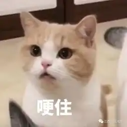 春节福利小师派送拼手气红包,在线查看手气最佳