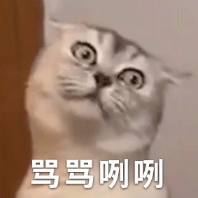 公公猫没雄风,我想给它做一对假蛋蛋