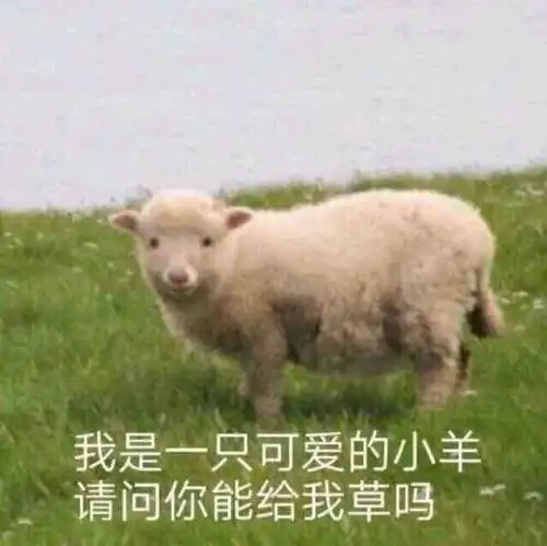 你有哪些又污又可爱的表情包