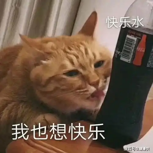 搞笑表情包图片每天起床第一句,先给自己打个气