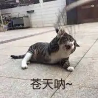 苍天呐大地呀表情包微信头像图片大全