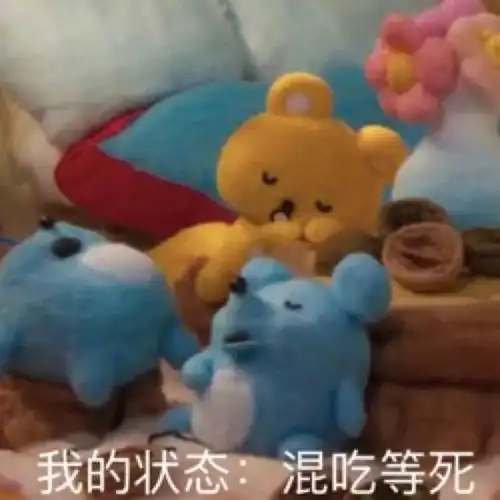白天有说有笑,晚上睡个好觉