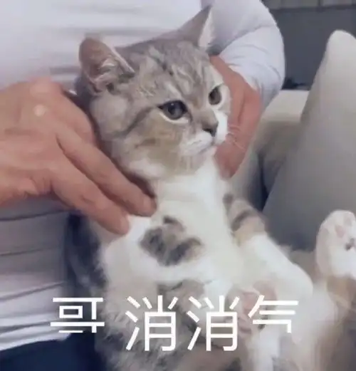 我妈居然这么说我哈哈哈太刺激了我不敢看