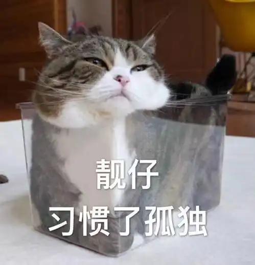 有趣的沙雕文案