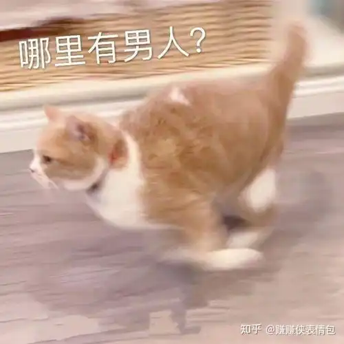 污污表情包图片妹妹,你好漂亮哦