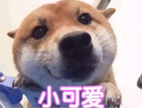 太多搞笑的表情包了,大家快收藏起来