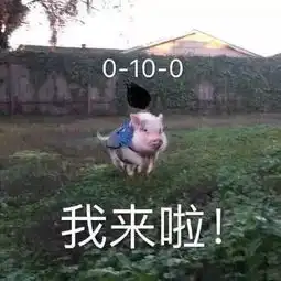 前方一大堆表情包来袭,拿去吧