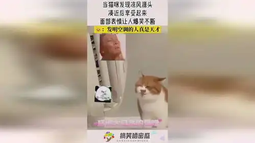 当猫咪发现凉风源头,凑近后享受起来,面部表情让人爆笑不断