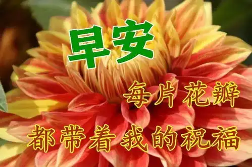 10月15日早上好动态表情图片大全,早晨好动图美图大全