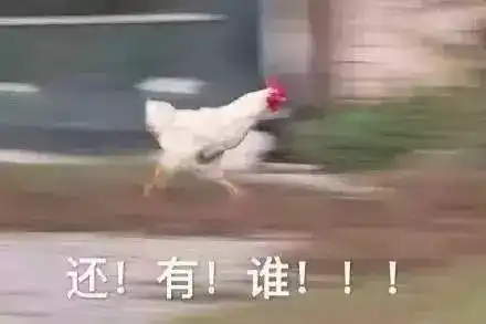 千万别让在外国的女友看见这套野鸡表情包,不然怼死你没商量