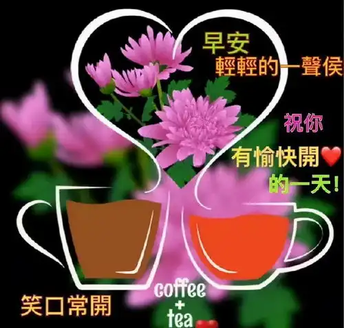 生活很简单,喜欢什么就要付出努力去争取什么,早上好