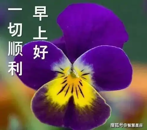 6月13日周末微信特漂亮的早上好动态图片表情,早安温馨表情精选