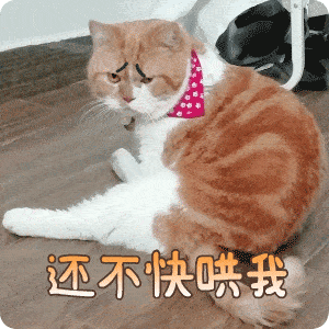 搞笑沙雕表情包