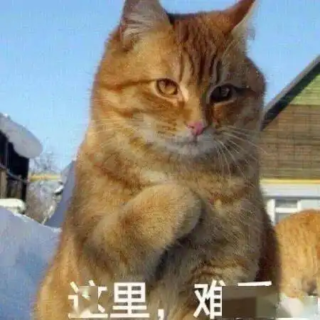 宠物丢失后找寻的关键点