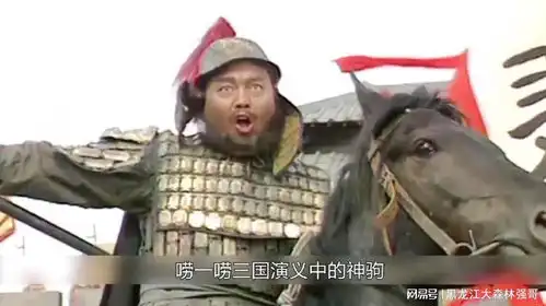 人中吕布,马中赤兔三国演义张飞马超