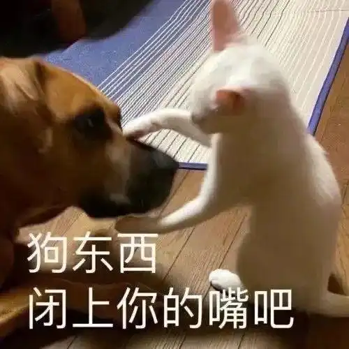 疑惑的表情包搞笑表情