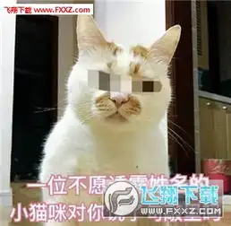敲里吗表情大合集下载敲里吗猫咪表情高清无水印下载飞翔下载