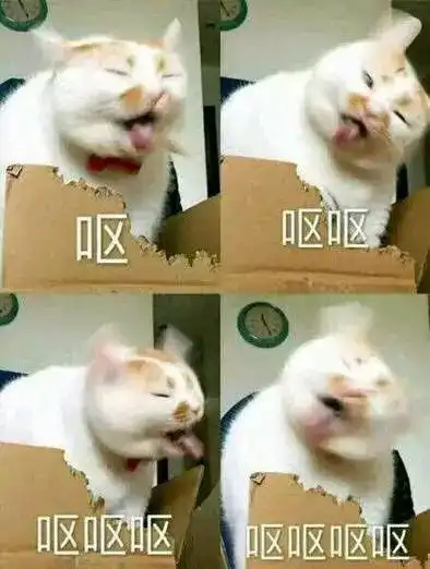 表情包你表情包太多,不想和你聊了