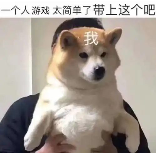 有什么让别人秒回的表情包