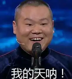 很杂的一些表情包