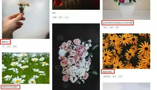 干货收藏超级实用的免费图片素材网站,都为你整理好了