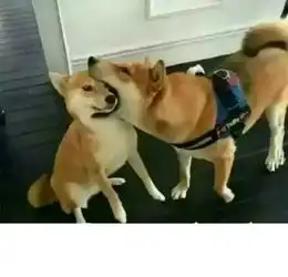 长得着急是种怎样的体验