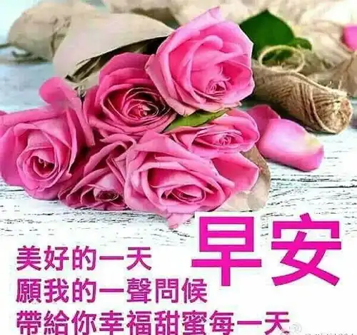 漂亮好看的早上好动态美图鲜花带字,早晨好幸福暖心的问候表情图片