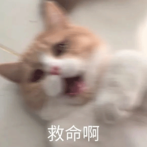 骚累了