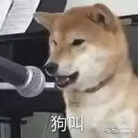 考古发现影影子很早拥有特约摄影师了