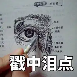 告诉你个鬼扯淡的秘密,连上wifi就能通灵