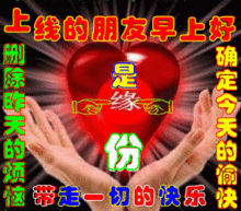 你永远不知道爸妈的表情包有多少