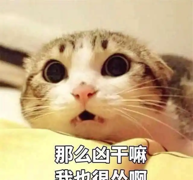 爆笑段子跟电视上演的不一样,怎么没说给我几十万的分手费