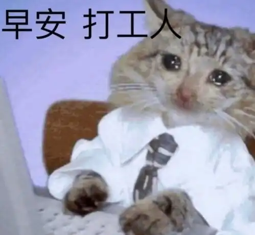 打蚊子表情包打工人文案表情包持续更新