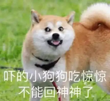 最佳答案搞笑表情图狗年