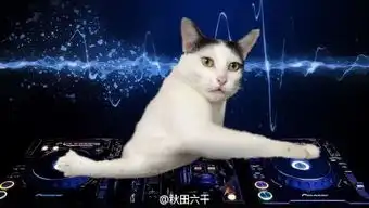 关于瑜伽的表情包