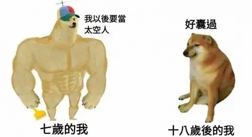 肌肉柴犬与小废柴梗图走红爆笑内容引网友疯狂流传