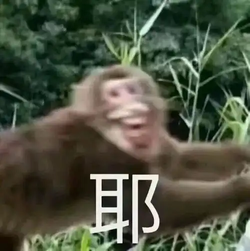 哈哈哈笑skr人