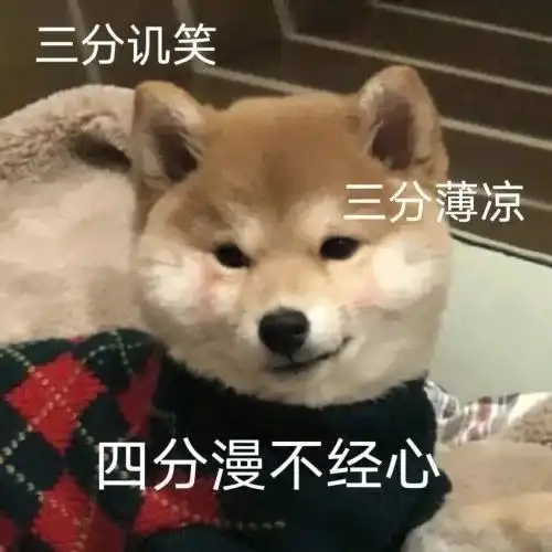 表情包不要玩了,陪陪我吧