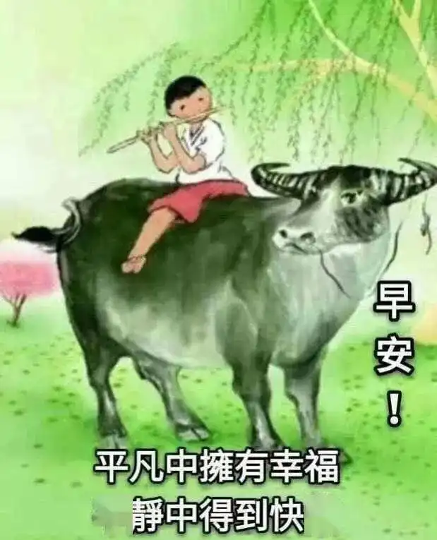人生因快乐而精彩,生命因健康而美满,友情因真诚而永久,早上好